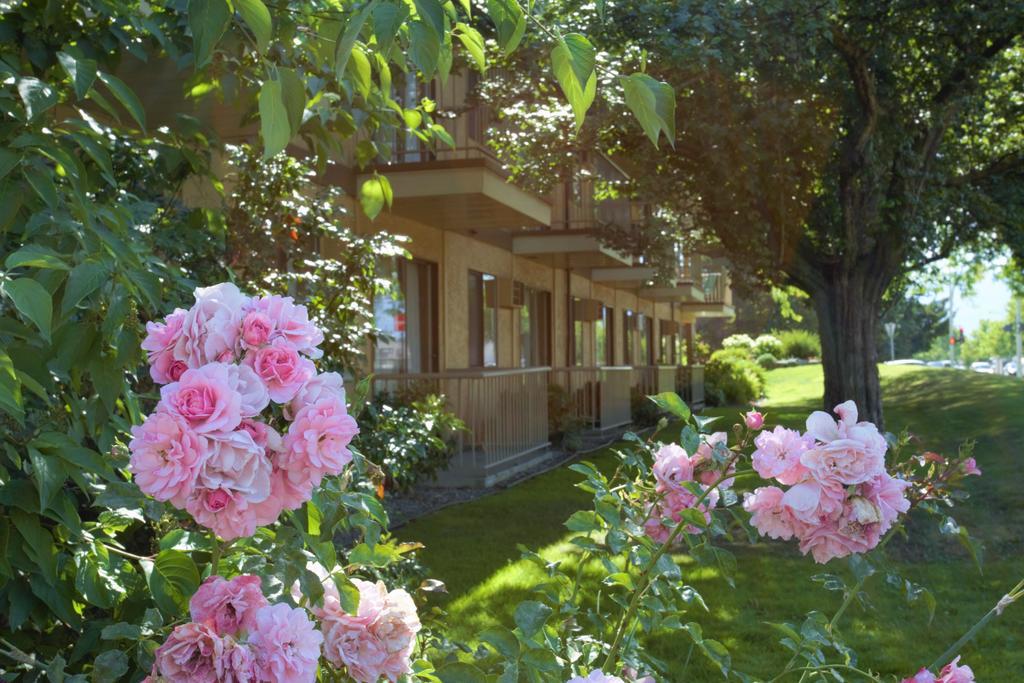 Dilworth Inn Kelowna Ngoại thất bức ảnh